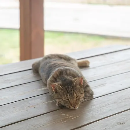 Erietta's Cozy House Holiday home